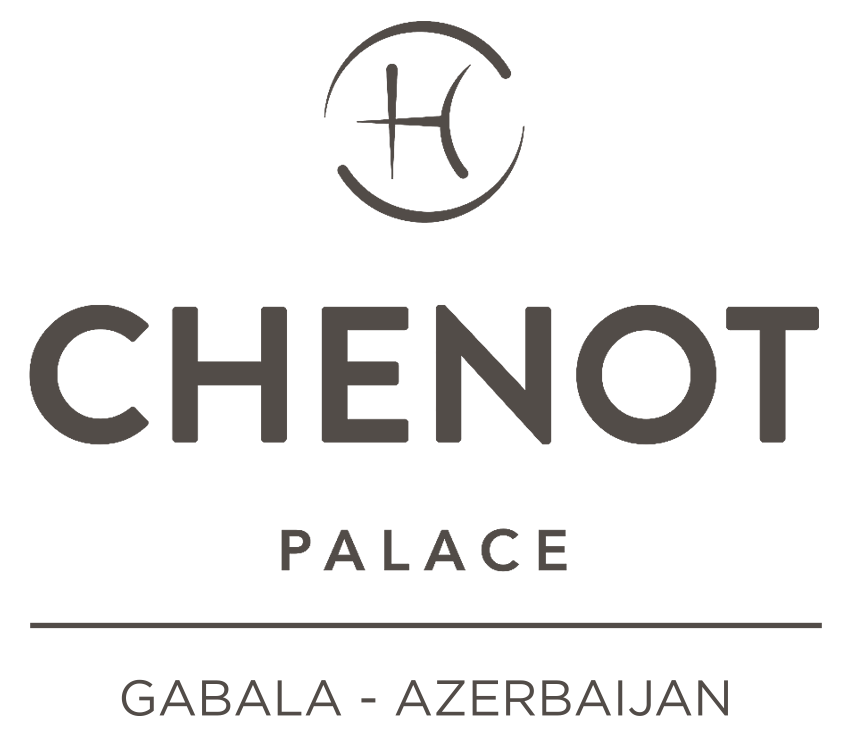 https://static.hotelassociation.az/upload/logo_palace.png